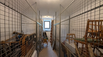 Nebytová jendotka  - Prodej malého objektu 250 m², Praha 3 - Žižkov