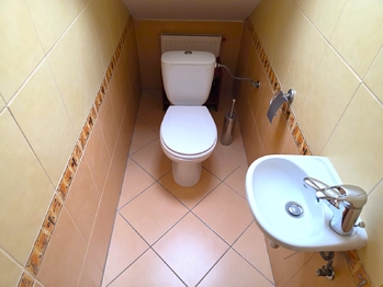 Prodej domu 309 m², Heršpice