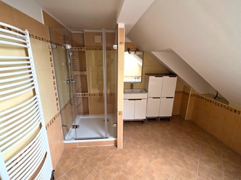 Prodej domu 309 m², Heršpice