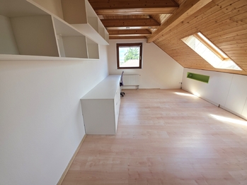 Prodej domu 309 m², Heršpice
