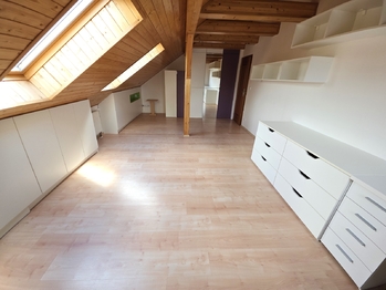 Prodej domu 309 m², Heršpice