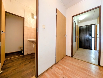 1. NP - vstupní hala a WCéčko ... - Prodej domu 156 m², Havlíčkův Brod