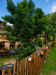 Prodej domu 200 m², Všechlapy