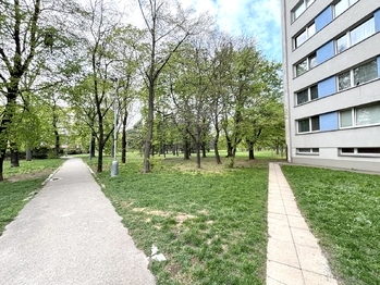 Interiér domu - Pronájem bytu 1+kk v osobním vlastnictví 26 m², Praha 8 - Kobylisy