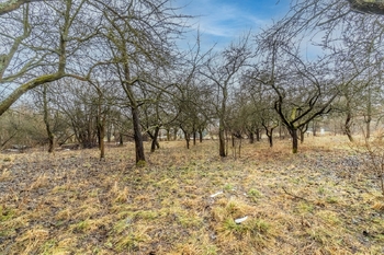 Prodej pozemku 2386 m², Vítězná