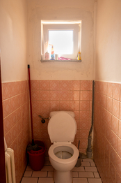 Prodej domu 275 m², Říčany