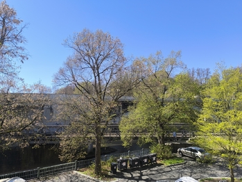 Pronájem bytu 2+1 v osobním vlastnictví 69 m², Karlovy Vary