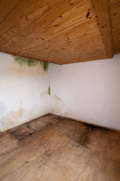 Prodej domu 89 m², Ivančice