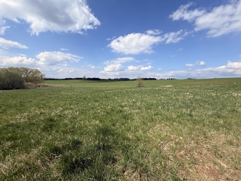 Prodej pozemku 1811 m², Planá