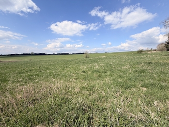 Prodej pozemku 1811 m², Planá