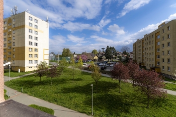 +420 775 757 505 I vaclav.adamcik@re-max.cz I pronájem bytu 2+1 Ostrava - Pronájem bytu 2+1 v osobním vlastnictví 42 m², Ostrava