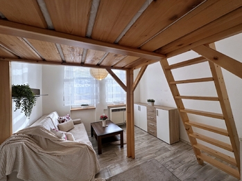 Prodej bytu 1+kk v osobním vlastnictví 26 m², České Budějovice