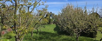 Prodej pozemku 590 m², Zbrašín