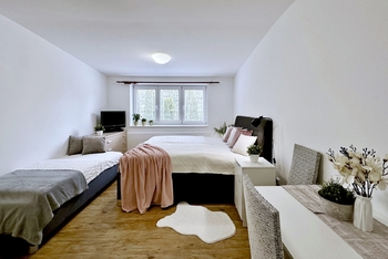 Prodej bytu 1+kk v osobním vlastnictví 26 m², Lipno nad Vltavou