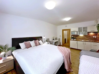 Prodej bytu 1+kk v osobním vlastnictví 26 m², Lipno nad Vltavou