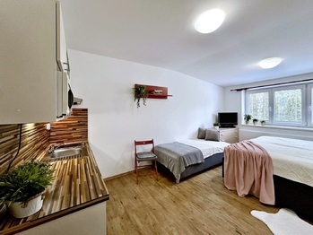 Prodej bytu 1+kk v osobním vlastnictví 26 m², Lipno nad Vltavou