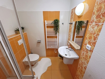 Prodej bytu 1+kk v osobním vlastnictví 26 m², Lipno nad Vltavou