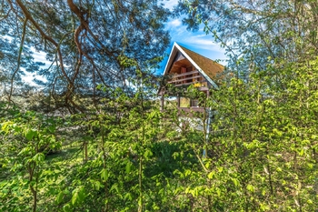 Chata Mlékovice - Prodej chaty / chalupy 582 m², Neveklov