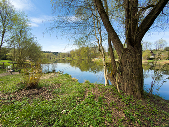 Prodej chaty / chalupy 21 m², Týn nad Vltavou