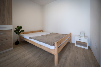 1+1 - Prodej domu 236 m², Mělčany