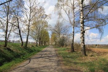 příjezdová cesta k osadě - Prodej pozemku 261 m², Lipová