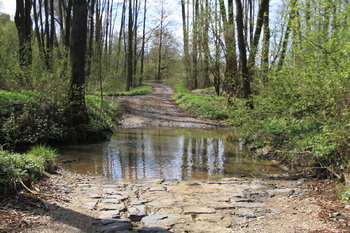 Brod - Prodej pozemku 261 m², Lipová