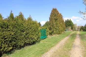 Příjezdová cesta k místu - Prodej pozemku 261 m², Lipová