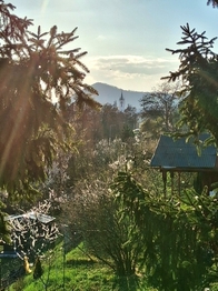 Prodej chaty / chalupy 30 m², Litoměřice