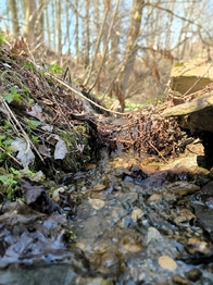 Prodej chaty / chalupy 130 m², Zlaté Hory