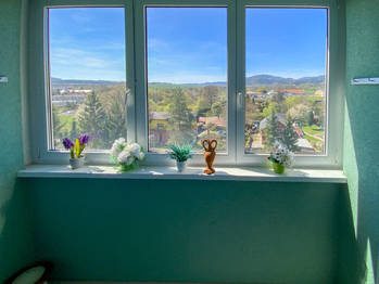 Prodej bytu 2+1 v osobním vlastnictví 56 m², Ostrov