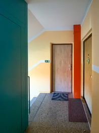 Prodej bytu 2+1 v osobním vlastnictví 56 m², Ostrov