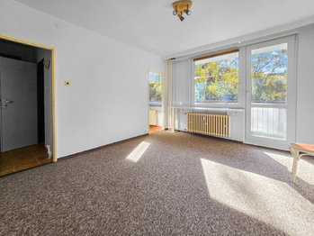 Pronájem bytu 1+1 v družstevním vlastnictví 32 m², Praha 9 - Střížkov