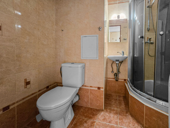 Pronájem bytu 1+1 v družstevním vlastnictví 32 m², Praha 9 - Střížkov