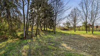 Prodej pozemku 1009 m², Žáky