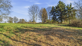 Prodej pozemku 1009 m², Žáky