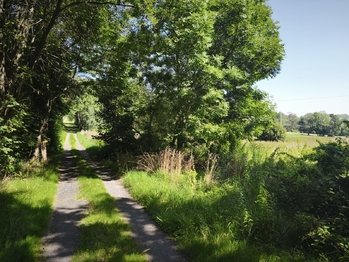 Prodej pozemku 7776 m², Varnsdorf