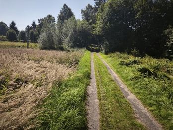 Prodej pozemku 7776 m², Varnsdorf