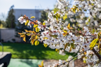 Prodej domu 156 m², Praha 9 - Vinoř