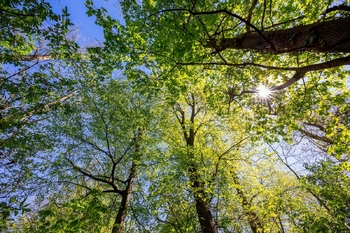 Prodej domu 156 m², Praha 9 - Vinoř