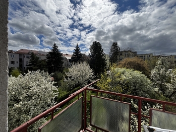 Pronájem bytu 2+1 v osobním vlastnictví 70 m², Plzeň