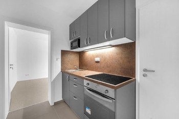 Pronájem bytu 2+1 v osobním vlastnictví 40 m², Luštěnice