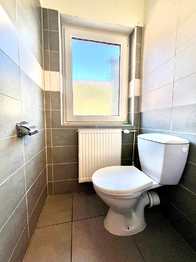 Pronájem ubytovacího zařízení 230 m², Kryštofovo Údolí