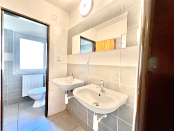 Pronájem ubytovacího zařízení 230 m², Kryštofovo Údolí