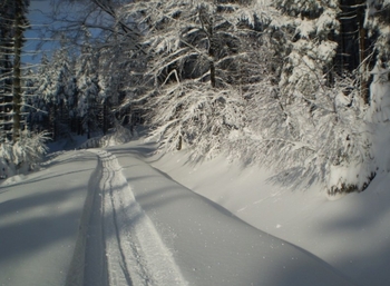 Pronájem ubytovacího zařízení 230 m², Kryštofovo Údolí