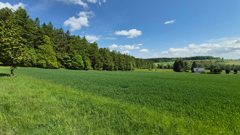 Prodej pozemku 7429 m², Borová