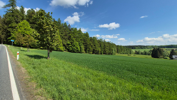 Prodej pozemku 7429 m², Borová