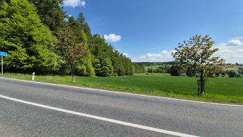 Prodej pozemku 7429 m², Borová