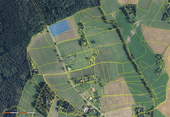 Prodej pozemku 7429 m², Borová