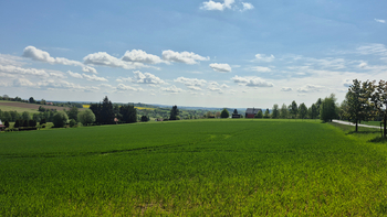 Prodej pozemku 7429 m², Borová