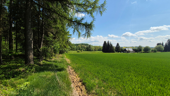 Prodej pozemku 7429 m², Borová